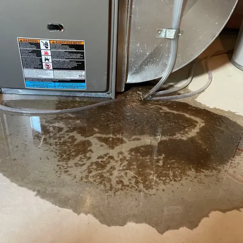 Appliance Leak Cleanup in Fallon, NV